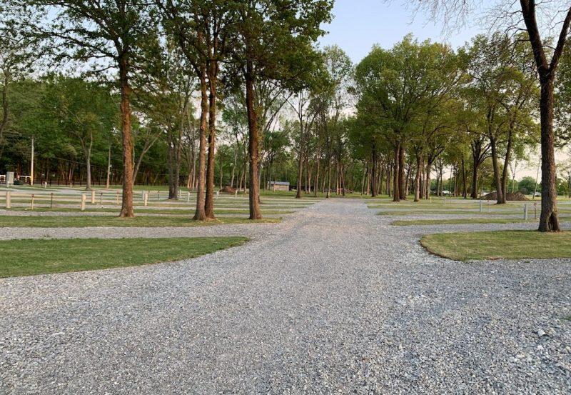 park scenery with trees